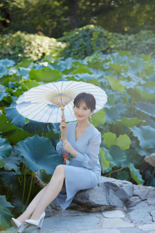 少妇白洁高义